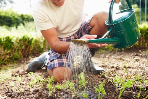 A person kneeling on a garden bed, watering young green plants with a green watering can, in a well-maintained outdoor space that features a lawn area and border planting, with lush shrubbery and trees in the background, during bright daylight conditions. The garden appears neatly landscaped, with soil that looks freshly turned around the plants, and a mix of natural tones from the soil, grass, and foliage. This scene reflects typical gardening and outdoor maintenance activities, consistent with services provided by Hedge Trimming Harrow, situated in the Harrow area, possibly near HA postcode. The person is dressed casually in a light t-shirt and plaid shorts, focusing on nurturing the garden's growth, illustrating a typical home gardening or landscaping setting.